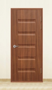 ABS Door (110) 1000 mm x 2100 mm no molding